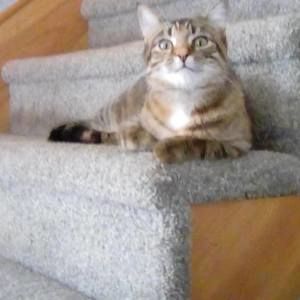 Meet your Posher, Patricia